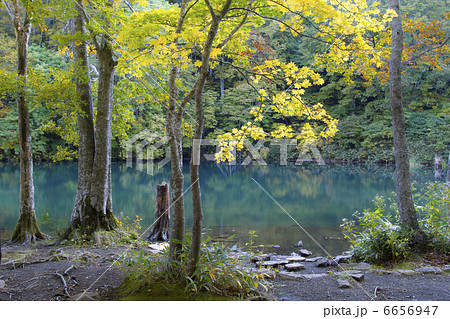 ドッコ沼 6656947