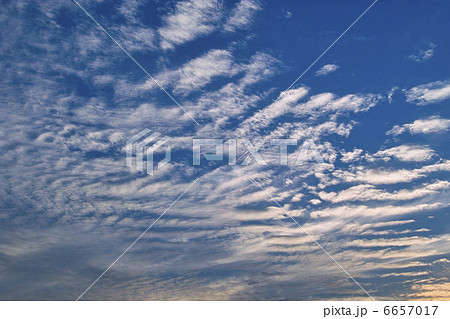 ひつじ雲 ひつじ雲 6657017