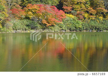 ドッコ沼 ドッコ沼 6657169