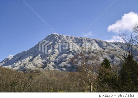 霧氷の山 霧氷の山 6657362