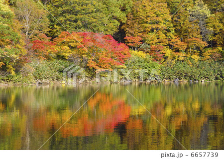 片貝沼 片貝沼 6657739