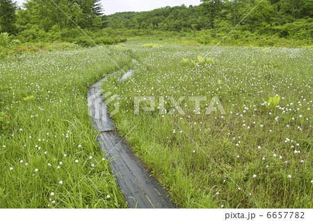 木道 木道 6657782