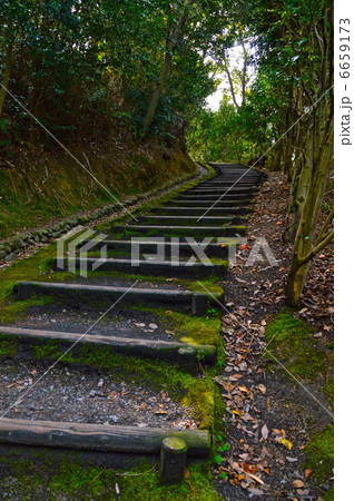 湯築城の展望台へ向かう道（道後公園／愛媛県松山市道後町） 6659173