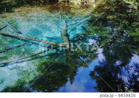 夏の神の子池_北海道 夏の神の子池_北海道 6659820