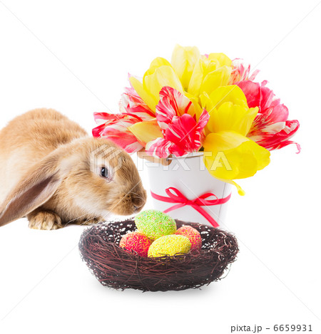 Easter decor Easter decor 6659931