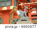 きつね 6660877