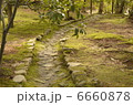 森の通り道 6660878