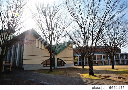 早春の高知工科大学 朝の食堂 2月25日撮影 早春の高知工科大学 朝の食堂 2月25日撮影 6661155