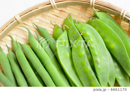 春野菜のサヤエンドウと夏野菜のサヤインゲン 6661170