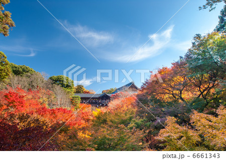 東福寺　通天橋 6661343