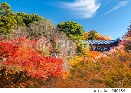 東福寺 通天橋 東福寺 通天橋 6661344