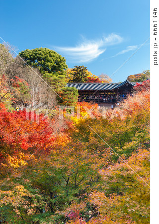 東福寺 通天橋 東福寺 通天橋 6661346