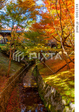 東福寺 東福寺 6661348