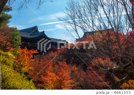 東福寺　通天橋 6661353