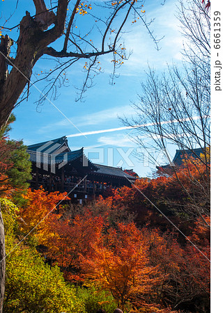 東福寺　通天橋 6661359