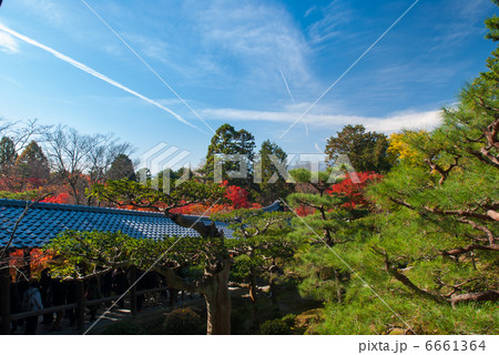 東福寺 東福寺 6661364