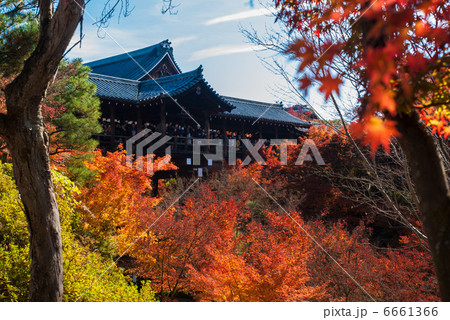 東福寺 通天橋 東福寺 通天橋 6661366