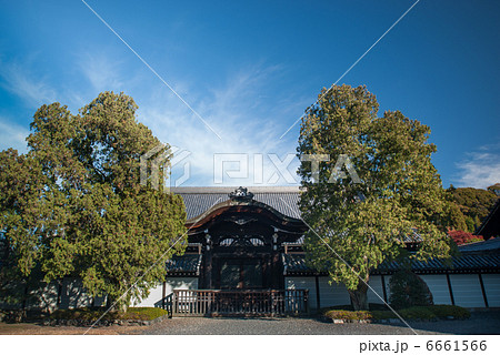 東福寺　方丈表門（恩賜門） 6661566