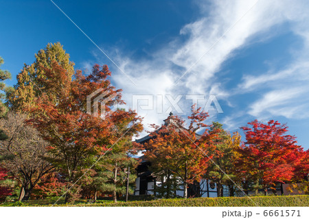 東福寺 経蔵 東福寺 経蔵 6661571