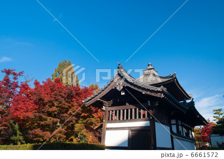 東福寺 鐘楼 東福寺 鐘楼 6661572