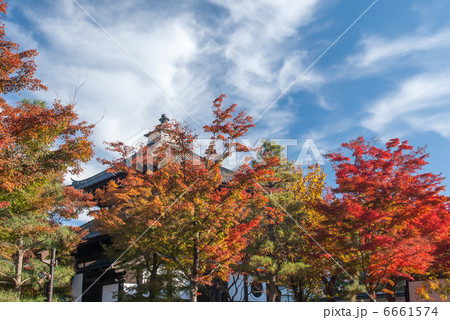 東福寺 経蔵 東福寺 経蔵 6661574