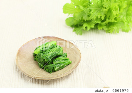 わさび菜　お浸し　和食 6661976