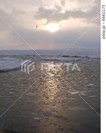 知床の流氷 6662175