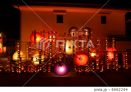 百華百彩 百華百彩 6662294