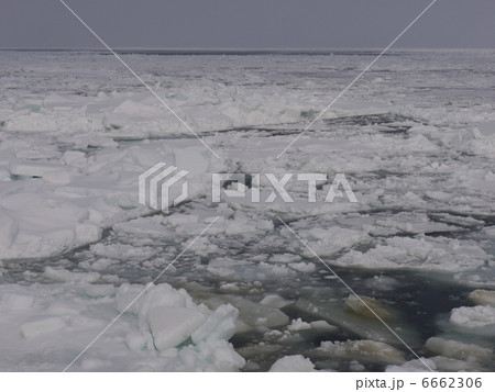 オホーツク海 流氷クルーズ オホーツク海 流氷クルーズ 6662306