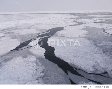 オホーツク海 流氷クルーズ オホーツク海 流氷クルーズ 6662316