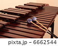 マリンバ 6662544