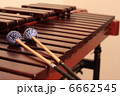 マリンバ 6662545