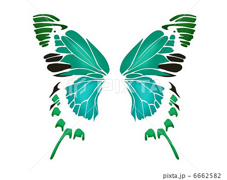 蝶の羽の模様のイラスト素材
