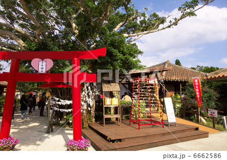 おきなわワールド 恋木神社 おきなわワールド 恋木神社 6662586