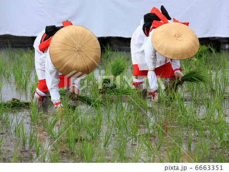御田植神事 6663351