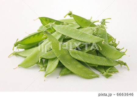 さやえんどう 6663646