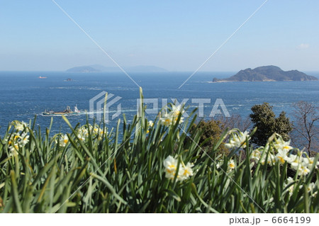 豊予海峡 6664199