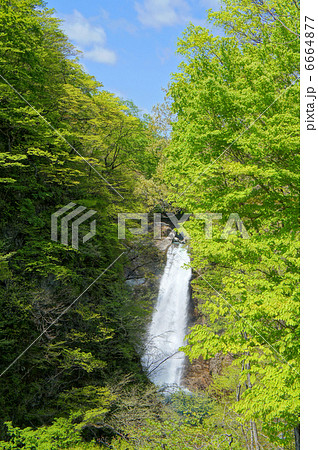 秋保大滝（宮城県仙台市） 6664877
