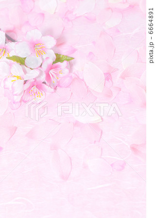 桜柄の背景イメージ 6664891