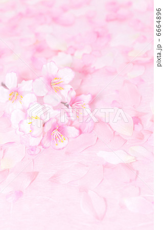 桜柄の背景イメージ 桜柄の背景イメージ 6664896