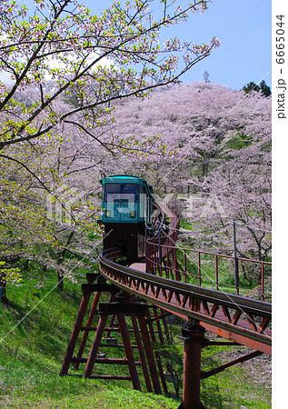 春の船岡城址公園(宮城県柴田町) 春の船岡城址公園(宮城県柴田町) 6665044