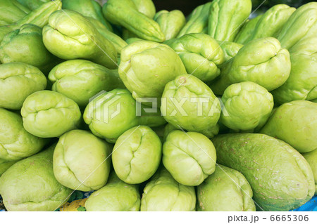 Background of organic choko Sechium edule vegetable pears Background of organic choko Sechium edule vegetable pears 6665306