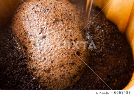 コーヒドリップ 6665488