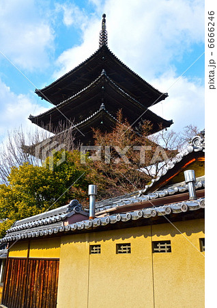 法観寺の「八坂の塔」（京都市東山区清水八坂上町） 6666246