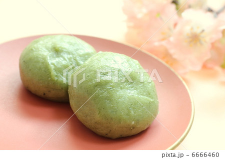 よもぎ餅 6666460