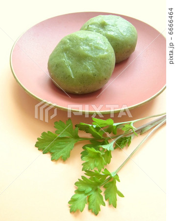 よもぎ餅と餅草 6666464