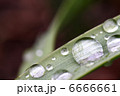 雫ぅーーん！！ 6666661