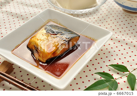 サバの煮付け サバの煮付け 6667015