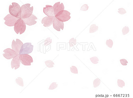 桜の花と舞う花びらのイラスト素材