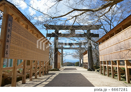 竈門神社の鳥居 6667281